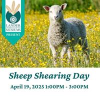 "Sheep Shearing Day"