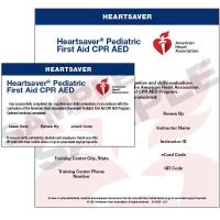 Pediatric CPR & First Aid Certification Class (AHA)