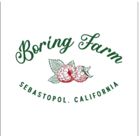 Boring Farm U-Pick Certified Organic Raspberries