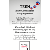 Analy: Teen Job Volunteer Fair!