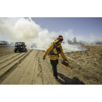 Prescribed burns help oak savanna habitat at Sherburne National Wildlife Refuge