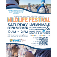 Wildlife Festival