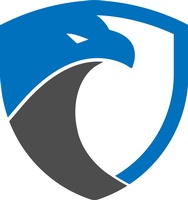 Comp-Net Solutions, Inc