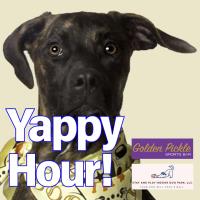 2025-09-28 Yappy Hour