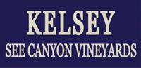 Kelsey Live Music - Louie Ortega