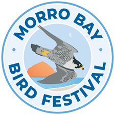 Morro Bay Bird Festival