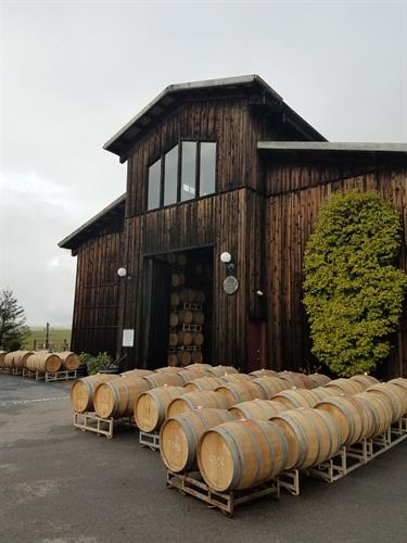 Redwood winery & barrels