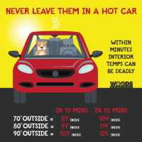 PRESS RELEASE: Woods Humane Society Shares Summer Safety Tips for Pets Ahead of Fireworks