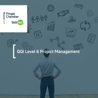 Project Management (Certified QQI Level 6)