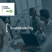 Sustainability Leaders Programme