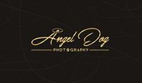 Angel Dog Photography