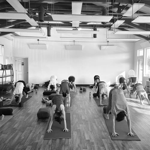 Vinyasa Yoga, Studio F5