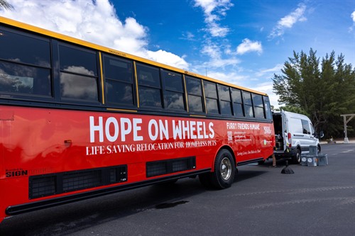 Our Hope on Wheels program has two commercial humane rescue buses to move at-risk cats and dogs from overcrowded Florida shelters to organizations  where eager adopters await.