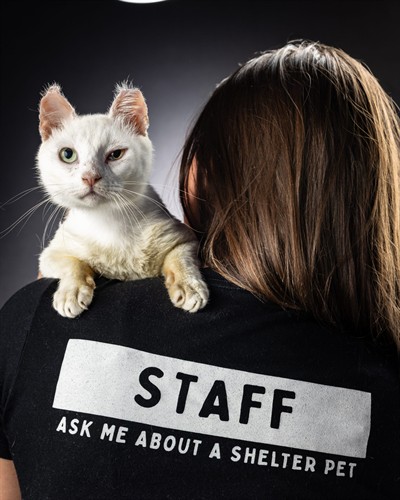 At Furry Friends, we're working night and day to support the human animal bond.