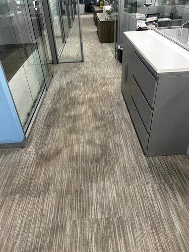 Before Carpet