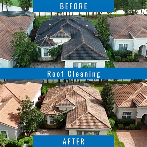 Gallery Image after_(1200_x_1200_px)_(26).jpg