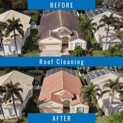 Gallery Image after_(1200_x_1200_px)_(28).jpg