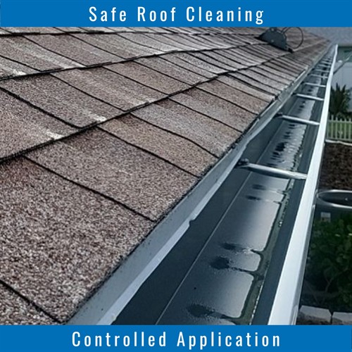 Gallery Image after_(1200_x_1200_px)_(29).jpg