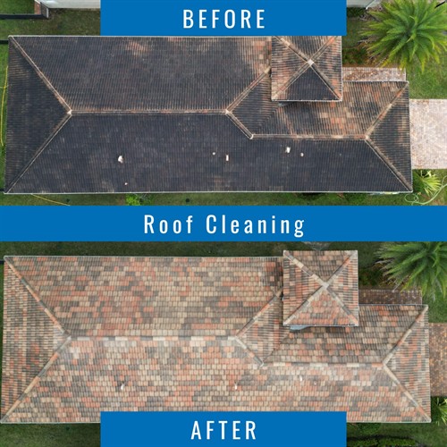 Gallery Image after_(1200_x_1200_px)_(30).jpg