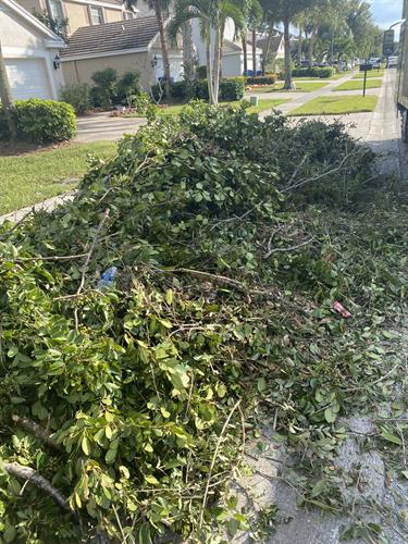 We also specialize in lawn debris from this...