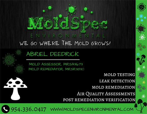 Abriel Deedrick - MoldSpec Environmental