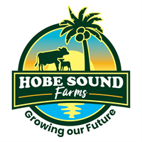 Hobe Sound Farms After Hours - Neon Nights