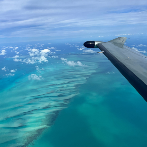 Gallery Image Untitled_design_(1).png