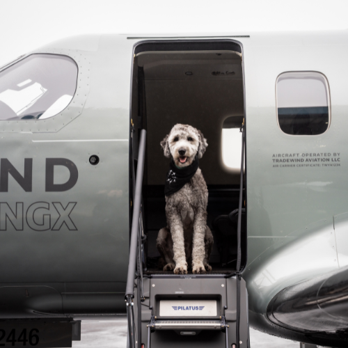 Gallery Image Untitled_design_(4).png