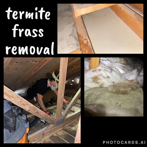 Gallery Image 480839145_977813481143218_3745404023199150921_n.jpg Gallery Image 480839145_977813481143218_3745404023199150921_n.jpg