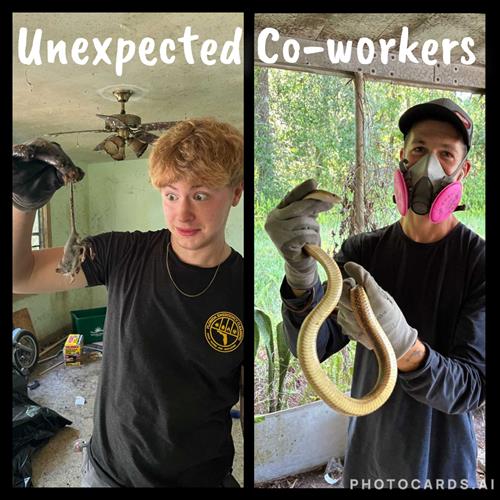 Gallery Image 499860414_1044316294492936_3027424266344893532_n.jpg Gallery Image 499860414_1044316294492936_3027424266344893532_n.jpg