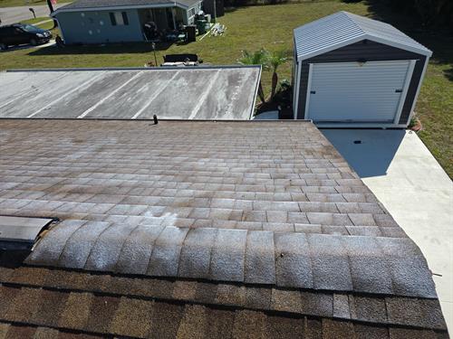 Brown Roof In-Progress Image