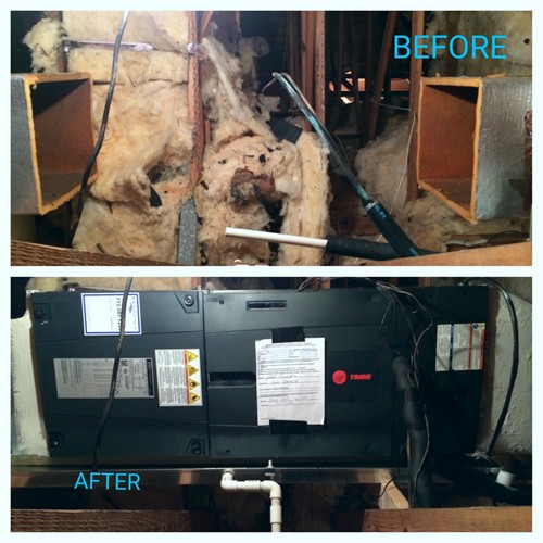 Gallery Image 2016-03-08_08.53.41.jpg