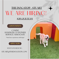 The Dog Stop