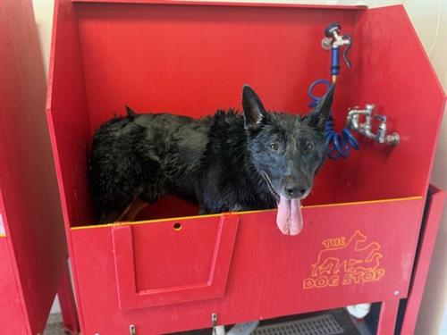 Bak in the bath!