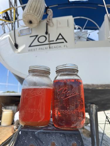 Clean Diesel Fuel! 