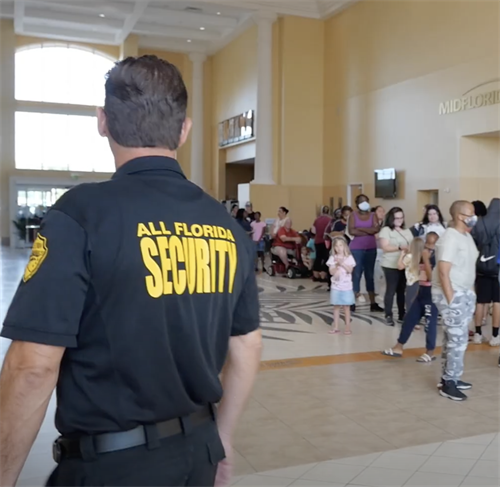Special event security