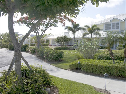 Gallery Image Mayes_Center.jpg