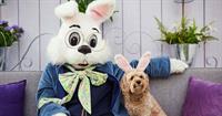 Hop to It! The Bunny Returns to Treasure Coast Square for Easter