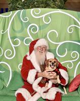 Santa’s back at Treasure Coast Square 