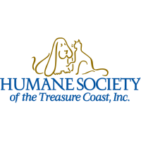 'Tis the season for the humane society’s annual “Pooch Plunge”