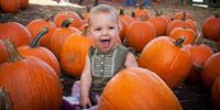 Pumpkin Patch and Festival