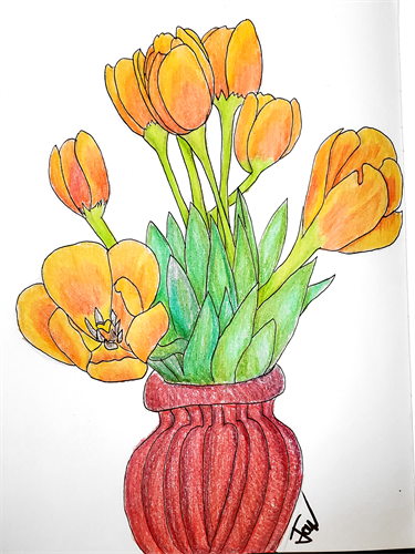 My Valentines Tulips drawn by James Montez