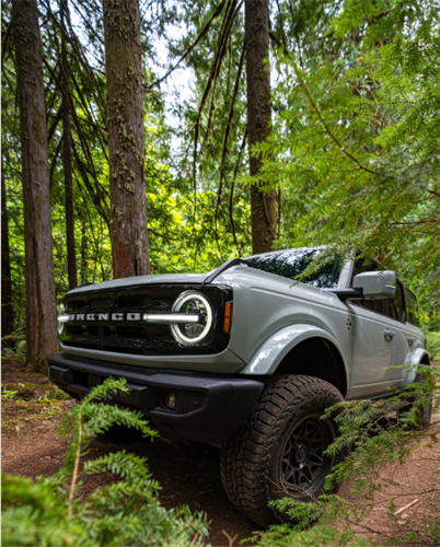Gallery Image Forest_Screenshot_2025-08-15_090812.png