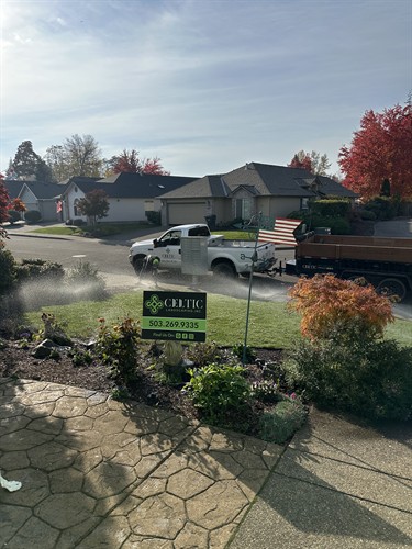 Gallery Image IMG_8917.jpeg