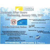 Business After Hours (Not-For-Profit Showcase)