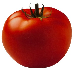 Tomato Solutions