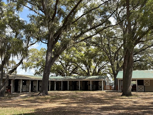 Gallery Image IMG_4414.jpeg