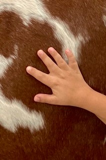 Gallery Image image.jpg