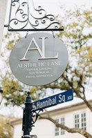 Aesthetic Lane 10 Year Anniversary Event