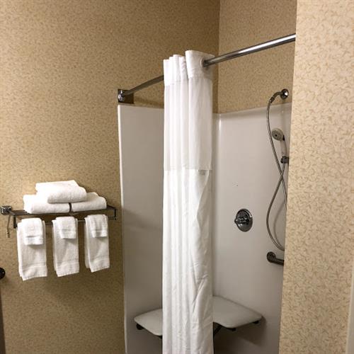 Handicap Accessible King Bathroom with roll in shower